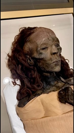 Queen Tiye’s Mummy… As You’ve Never Seen It Before More than 3,300 years have passed, yet the face of Queen Tiye still defies time. The wrinkles, the preserved strands of wavy brown hair, and the calm expression reveal a woman who was far more than a royal wife — she was one of the most powerful figures in ancient Egyptian history. Queen Tiye, wife of King Amenhotep III and mother of Akhenaten, played a real political and intellectual role inside the royal court. Her influence extended into one 