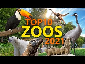 Top 10 Zoos 2021