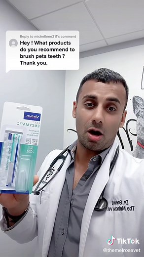 Best Dog Toothpaste Recommendation for Pet's Dental Health