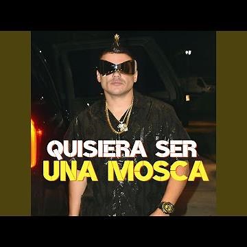 Quisiera Ser una Mosca