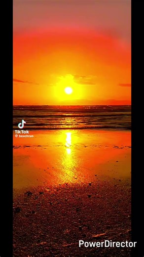 Cynthea (@cynthea431)’s videos with original sound - Cynthea