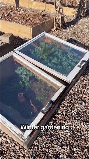 Garden DIY Project: Cold Frame #gardenproject #gardening