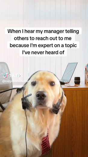 Hilarious Office Meme: Unexpected Manager Requests