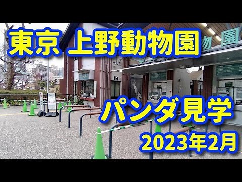 JAPAN TOKYO See pandas at Ueno Zoo in Tokyo