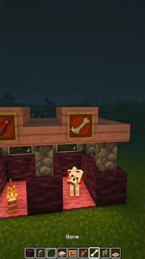 Minecraft House For My Pets😍 #shorts #minecraft