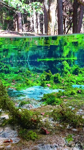 Stunning Underwater World Experiences