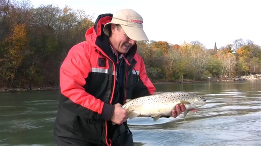 Bottom bouncing for brown trout in the fall