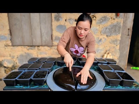 Pregnant Woman’s Hard Work 💖 Jelly Making Process | Family Cooking & Market Sell
