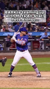 156K views · 5.4K reactions | Go from sploot mode to sport mode with new Crocs™ for dogs! They’re exclusively available with a BarkBox toy and treat subscription and FREE if you join now: choose from 2 glow-in-the-dark colors and 3 sizes. | BarkBox | Facebook