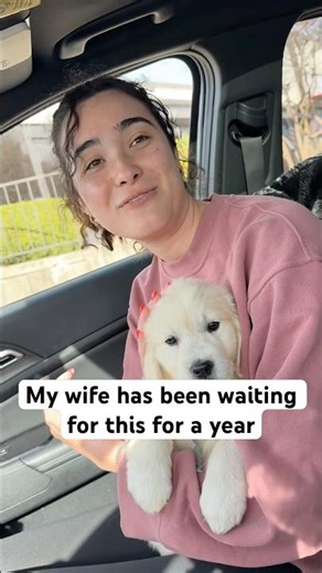 We Got a New Family Member ❤️ #couples #marriedlife