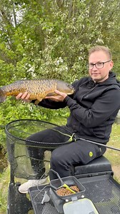 76K views · 594 reactions | Pellet waggler season 浪 | Fish Matrix | Facebook