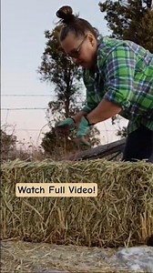 Opening a Bale of Hay Using Twine 🌿