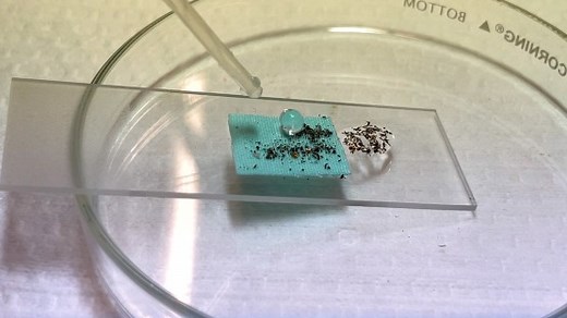 Waterproof coating is made from upcycled textile waste | Cornell Chronicle