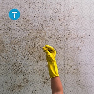 19 reactions | Crossing off your to-do list feels good even when you don’t do it yourself. Get the Thumbtack app and find the right local pros for anything you need done. | Thumbtack | Facebook