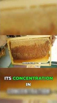 This Honey Destroys Antibiotic-Resistant Bacteria #science #mindblown