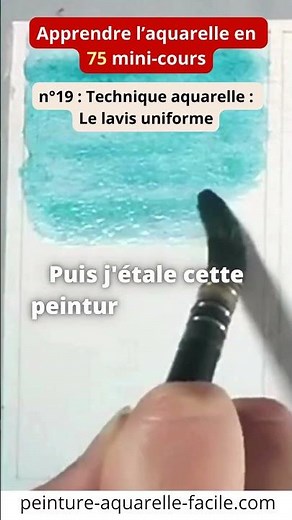 n°19 : Le lavis uniforme (Apprendre l'aquarelle en 75 mini-cours) #aquarelle #techniqueaquarelle