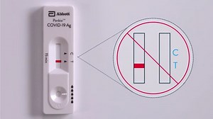 Panbio™ COVID-19 Ag Rapid Test Device Nasopharyngeal Swab Procedure Live Action