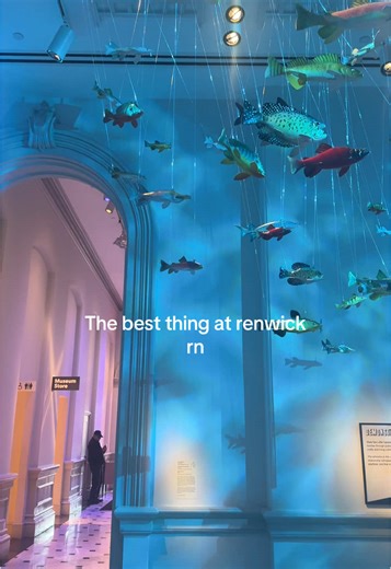 As a rainbow fish book lover I loved this exhibit #renwickgallery #dcartmuseum #dc #dcthingstodo