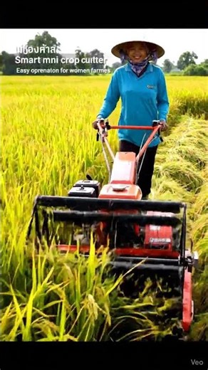 Rice planting harvesting hand tractor handling by women