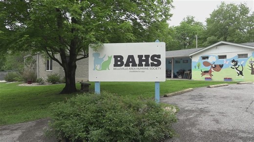 'First program of its kind in southern Illinois': Belleville animal shelter fosters pets to help domestic abuse victims