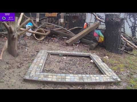 Backyard Squirrel Cam Setup | Old Squirrelville Live Stream Camera