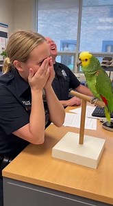 try not to laugh🦜🤣Sorry expired😂 #trendingshorts #funnymoments #trendingvideo #trendingreel #fypシ゚viralシfypシ゚ #fypシ゚ #parrot #funnyparrot #talkingparrot #officer #funnyvideos #viralshort #parrotlover #petlovers | Every Life Matters
