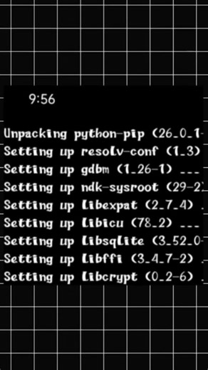 run your python file in your phone.