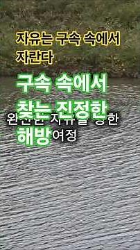 완전한 자유를 향한 여정 6화 - 구속 속에서 찾는 진정한 해방 #인생2막 #명언 #좋은글