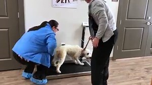 34K views · 589 reactions | It's going to be a life-changing...