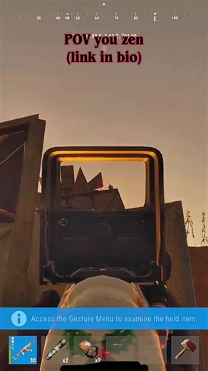 #rust #script #rustconsole #fyp #zen