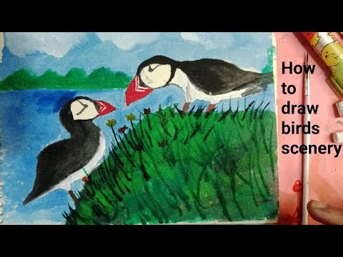 Beautiful Puffin Painting | Easy Nature Art for Beginners | Jinia Dream Art