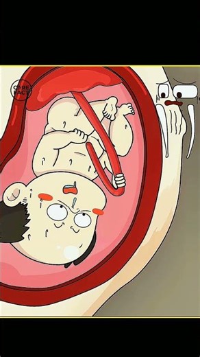 Is Second Pregnancy Easier? Ask My Stretchy Womb! #viral