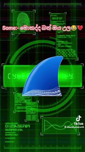 Wireshark පාවිච්චි කරලා Network Packets ඇනලයිස් කරමු | Cyber Security Sinhala