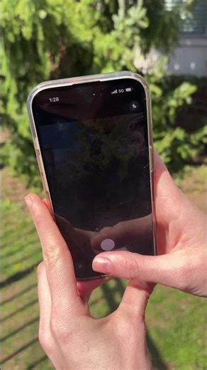 ScanMyTree - Because surprises belong at parties, not at closings.