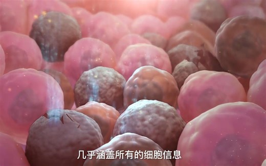 【网站收藏】宝藏级细胞数据库，超实用，助力您的科研之路