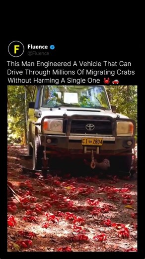 Fluence | An engineer designed a specialized vehicle modification that allows cars to pass safely over massive crab migrations without causing harm.... | Instagram
