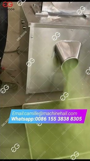 Moringa Powder Grinder Moringa Powder Making Process Dry Leaf Grinding Machine