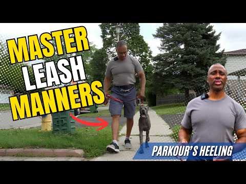 Leash Manners Training: Teaching Better Walks Around the Neighbourhood | In-Home Dog Training