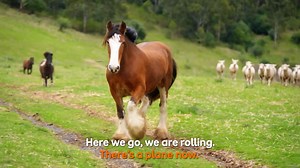Play School ‘horsing around’ on location 🐎🐄🐖🐏🐓 Join the farmyard fun at 9am, 28 November for the new special, Play School’s Down on the Farm! | ABC Kids Community