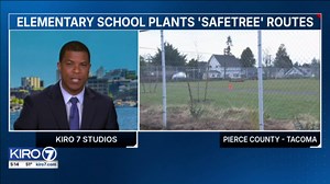 VIDEO: Tacoma elementary school plant 'safe trees' to help students