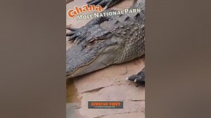 Uncover the Hidden Beauty of Mole National Park: Ghanas Wildlife Haven 2023