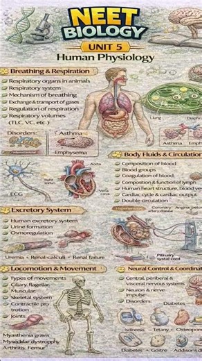 Biology – Unit 5: Human Physiology #neet2027 #neet2026 #neetbiology #neetsyllabus2026 #neettricks