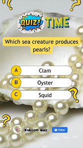 Which sea creature is that? #quiz #quiztime #quizreels #popquiz #triviaquiz #generalknowledgequiz #braingame #educational #science #sciencequiz | Kaboom Quiz