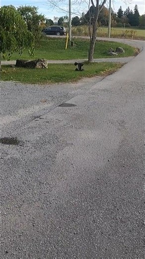 Outcast 4s now on 6s #rc #shorts #arrma