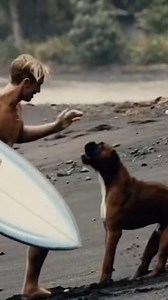 879K views · 2.2K reactions | Best Moment with Dog‍了 #surfer...