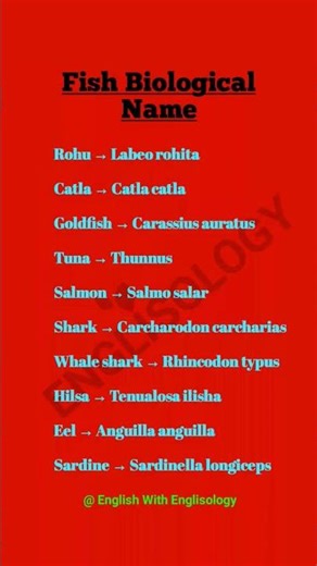 Fish Biological Names 🐟 | Scientific Names of Fish | Easy Learning #Shorts