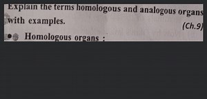 Explain the terms homologous and analogous organs with examples... | Filo