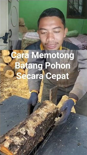 Memotong Batang Pohon Super Cepat & Efisien! 🌳⚡