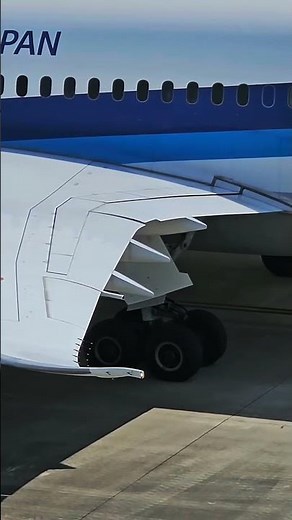 Boeing 787 Flaps & Slats Set After Pushback | Dreamliner Takeoff Prep