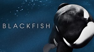 Blackfish (2013)